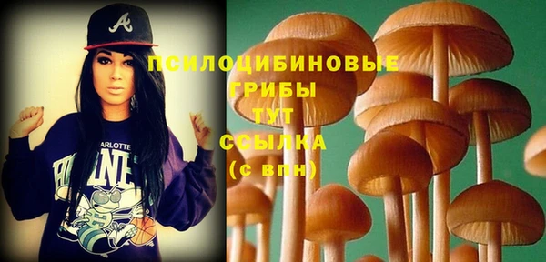 молекула духа Алзамай