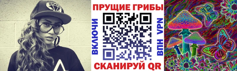 цена Волжский Псилоцибиновые грибы GOLDEN TEACHER