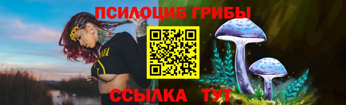 Псилоцибиновые грибы прущие грибы  Вход с VPN  Волжский  Галлюциногенные грибы Cubensis 